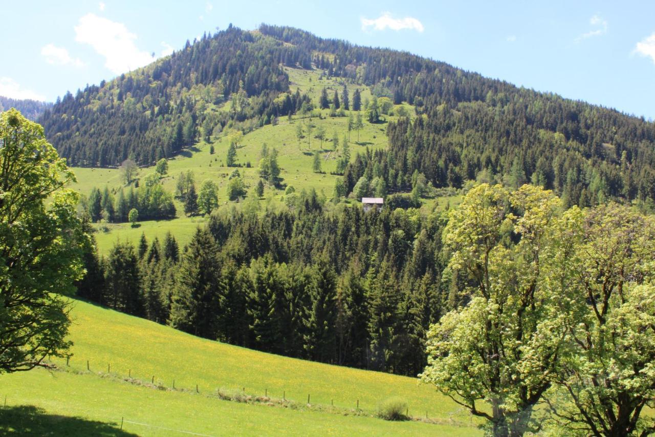 Zauneralm Aich  Dış mekan fotoğraf